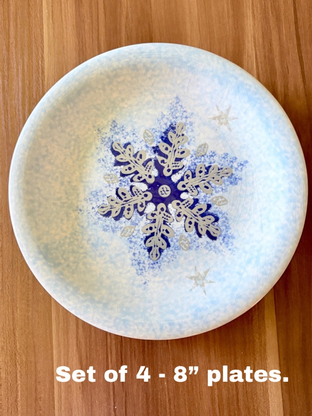 Set of 4 Target Home Ceramiche Umbre Winter Frost Snowflake 8” Plates Made Italy